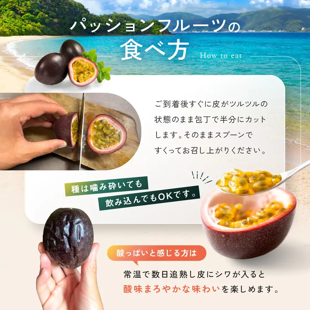 【先行予約】産地直送！パッションフルーツ秀品12個入り|パッションフルーツ 果物 くだもの