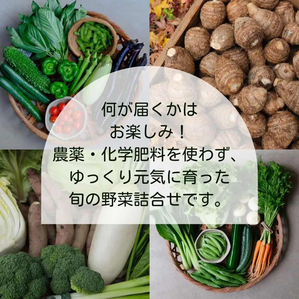 【よしだのはたけ】旬の野菜10品 やさいBOX｜京都 京北 農家直送 野菜 人気セット
