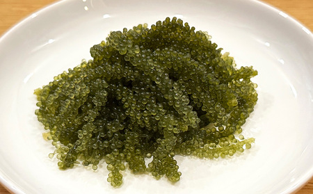 久米島産！海ぶどう塩水漬50g×3パック＆塩蔵もずく500g×1パック