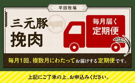 【 全12回 毎月 定期便 】 日本 の 米育ち 平田牧場 三元豚 ひき肉 600g T036-T12-03 肉 豚肉