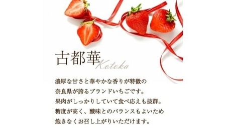 【2027年1月～発送予定】いちご 古都華 約250g×4パック
