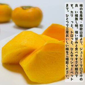 【先行予約】【2026年10月発送】柿【ご家庭用】和歌山のたねなし柿　秀優混合　約2kg【AA-ard254】