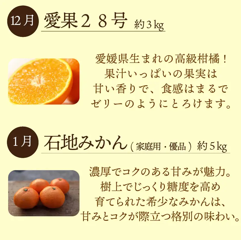 愛媛みかん 定期便 【全4回】 農家の一押し！ セレクト定期便 | 愛果28号 石地みかん せとか 完熟島いよかん  【KK337】