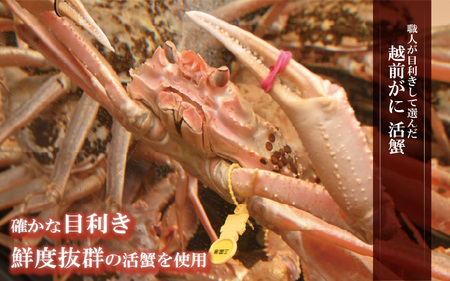三国港越前がに料理 美食チケット 1枚 (30,000円分) 【食事券 越前蟹 越前がに ズワイガニ 蟹料理 冬の味覚 ご当地】 [J-5905]