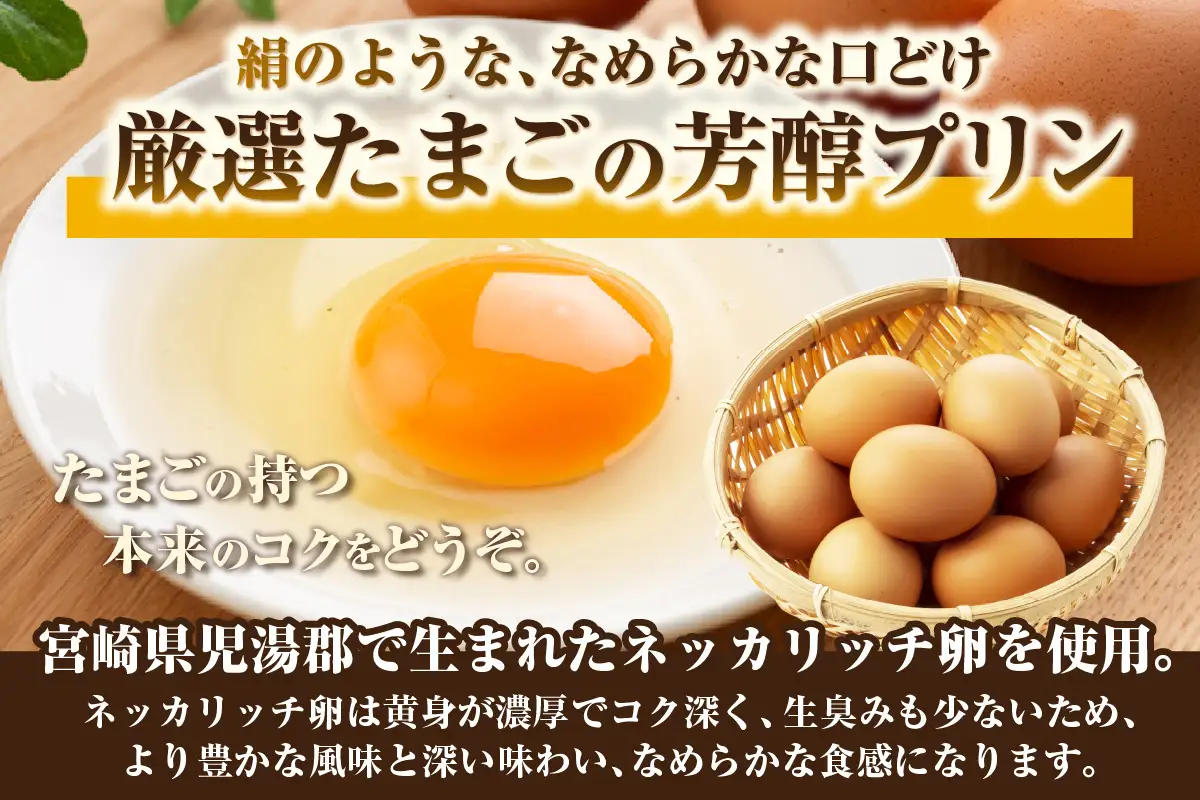 極生プリン 5種10個セット（3402）