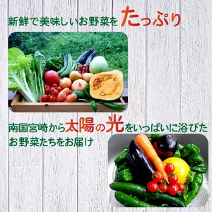 【定期便 全6回】季節の野菜詰め合わせセット（新鮮 採れたて 野菜 セット 定期便 詰め合わせ 宮崎県）