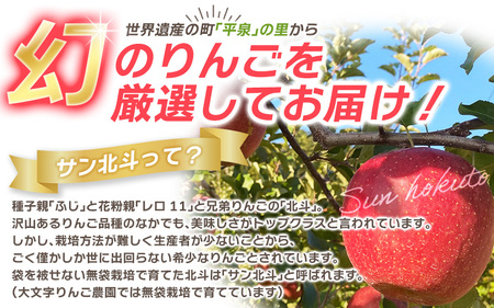 【10月下旬頃より順次発送】大文字りんご園 サン北斗 約5kg  大玉(10～12玉) 【dma002-big】