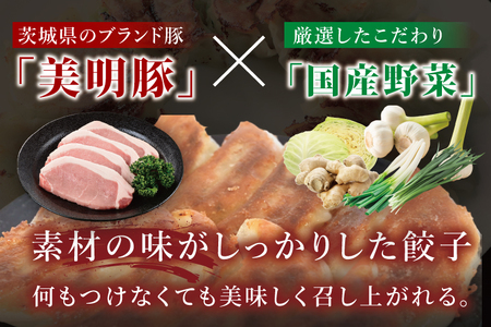 冷凍餃子 40個（20個×2袋） 美明豚 餃子 （茨城県共通返礼品・行方市産）_DS013