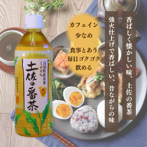 【ふるさと納税】土佐の番茶 500ml×24本 1ケース ペットボトル PET お茶 土佐茶 高知 JA高知県 佐川町産茶葉使用【常温】