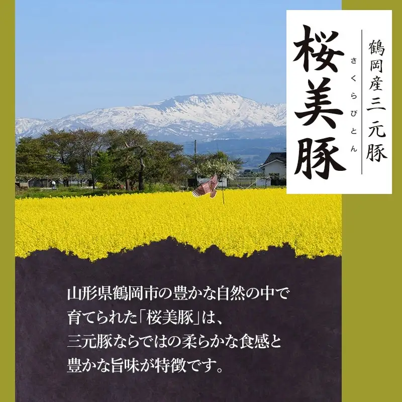 鶴岡産三元豚「桜美豚」肩ロース ブロック 約2.3kg　K-779　豚肉　長南牛肉店