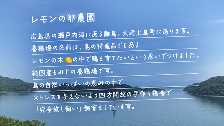 大崎上島産 もみじの 卵 40個 ( 36個+割れ保障4個 )