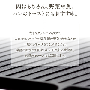 南部鉄器 鉄板グリル 27cm 【OIGEN 作】 IH調理器 伝統工芸品 鉄フライパン キッチン用品 食器 日用品 調理器具 グリルプレート アウトドア キャンプ [Z0001]