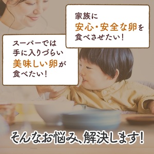 [定期便／3ヶ月×月2回 (全6回)] さかもとのたまご 20個 (18個＋割れ保証2個) 合計120個 [0806]