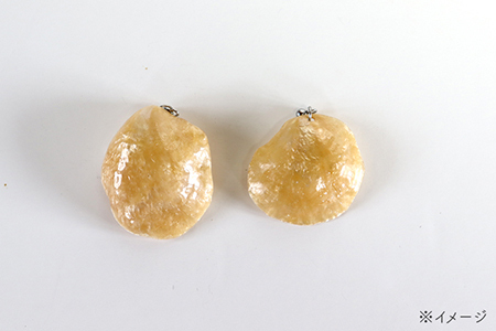 幸せを呼ぶ貝 ナミマガシワのピアス（イヤリング）：イエロー