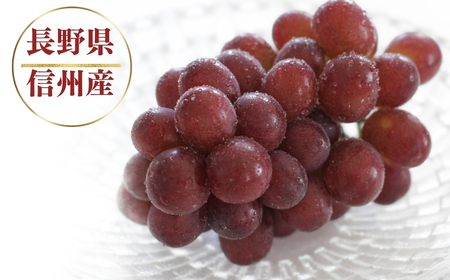 【2026年先行予約】クイーンルージュ®  400g以上(1房)  | ぶどう ぶどう