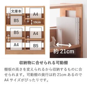 学習デスク(カルロ 100ラック)