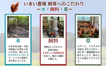 BQ3　いまい農場の 平飼い 有精卵　20個　【 赤玉 たまご タマゴ 玉子 平飼い 国産 こだわり 受賞 兵庫県 宍粟市 しそうし】