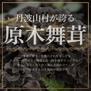 【2026年先行予約】原木 舞茸 約2kg  舞茸 まいたけ  きのこ【tab0225-2000】