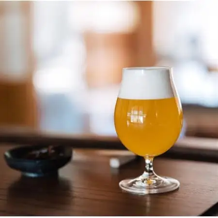 クラフトビール ヘイジーIPA 計990ml 3本セット【配送不可地域：離島】【1650942】