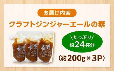 クラフトジンジャエールの素 約200ｇ×3パック / ジンジャーエール 素 シロップ ジンジャーシロップ 炭酸 炭酸割り ソーダ お湯割り ホットジンジャー アレンジ【Japan Ginger 株式会社】[ATFD005]