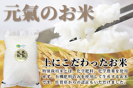 【令和7年産 お米10kg|ヒノヒカリ 白米】【生産者直送】幸せと笑顔を届ける元氣のお米｜佐賀県特別栽培農産物｜化学農薬・化学肥料不使用｜新米 精米 有機肥料 佐賀県 鹿島市 D-219