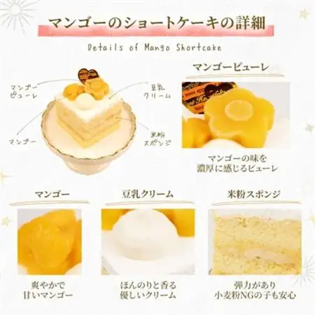 【マンゴーのショートケーキセット】犬のケーキ・ごはん 無添加 手作り Idea dog chef【配送不可地域：離島】【1660625】