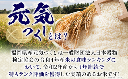 【3回定期便】 令和7年産 白米 金のめし丸 元気つくし 3kg 定期便 3ヵ月 福岡 お米 米 ごはん ご飯 お弁当 おにぎり 金のめし丸県産米 福岡ブランド米 めし丸 ライス rice 飯