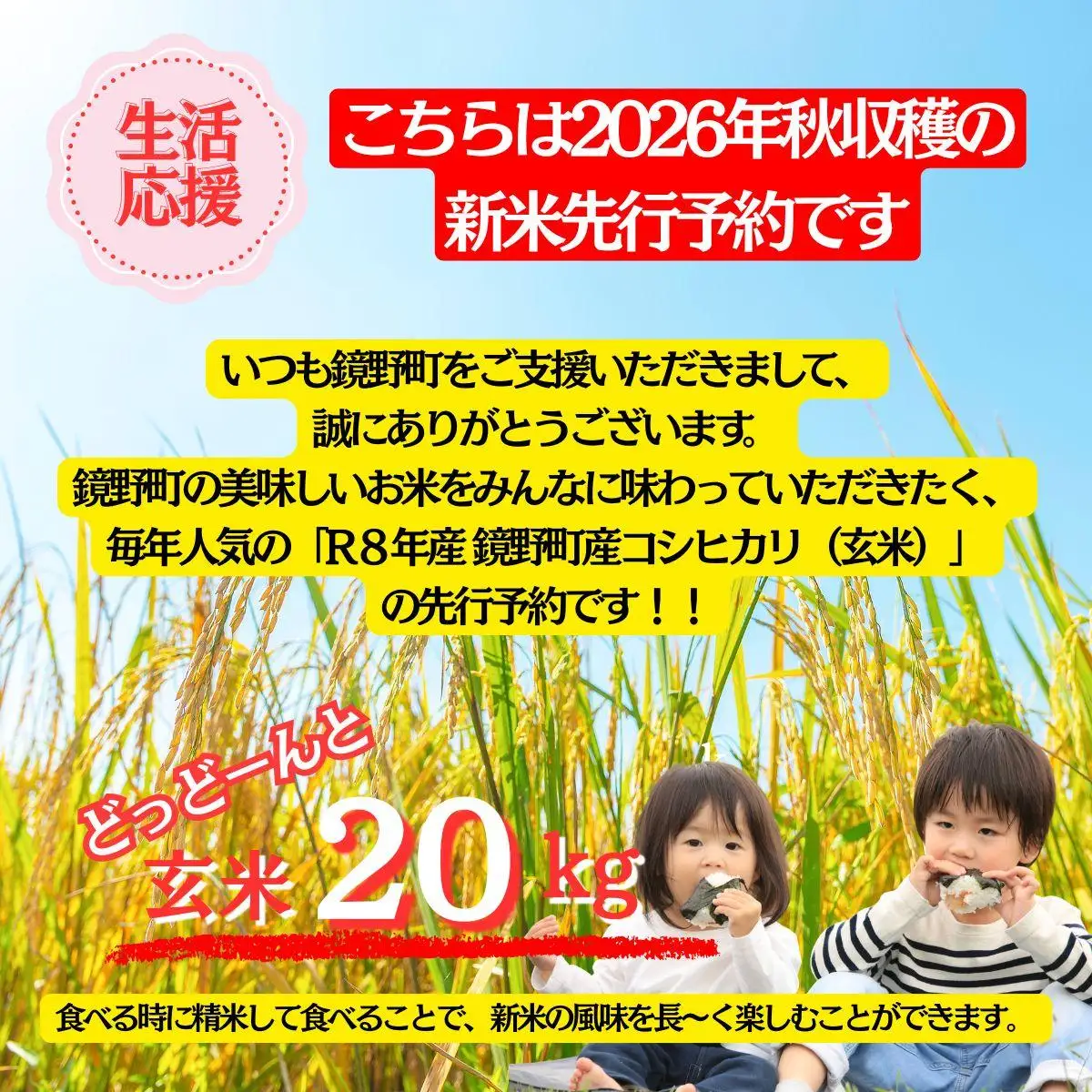 【2026年発送分 先行予約】令和8年産 鏡野町産 コシヒカリ 玄米 20kg【033-a013】