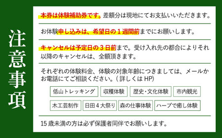 【日田を満喫体験】選べる！思い出に残る体験チケット補助券(3，000円分)　日田市 / 日田グリーンツーリズム花の木 トラベル 旅行 体験チケット[ARFM005]