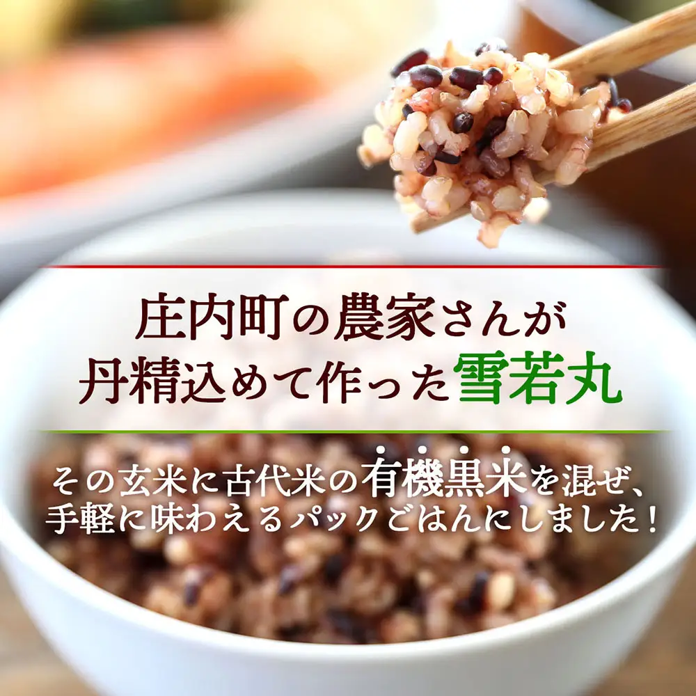 雪若丸 特別栽培玄米 パックごはん 160g×24個 有機黒米入 健康 ダイエット 備蓄 保存食 防災 簡単レンジ 温めるだけ 湯煎調理 レトルト ごはん ライス 玄米