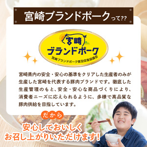 【宮崎ブランドポーク】豚ロース(肩ﾛｰｽ含む)みそ漬け10枚 N061-YA3344