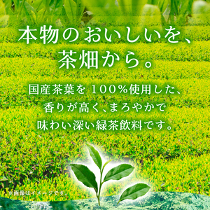 【3ヶ月定期便】おーいお茶 250ml 24本 伊藤園 紙パック [h132]