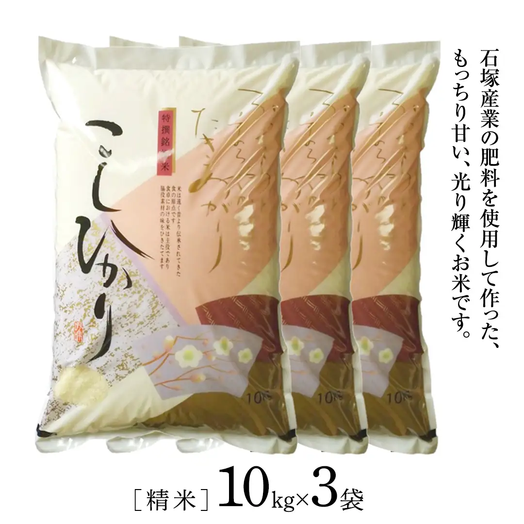 【 3ヶ月 定期便 】【 令和7年産 】 コシヒカリ 精米 10kg × 3回 ( 合計 30kg )（茨城県共通返礼品かすみがうら市）米 ごはん もっちり 甘い コメ お米 白米 銘柄米 [EX019sa]
