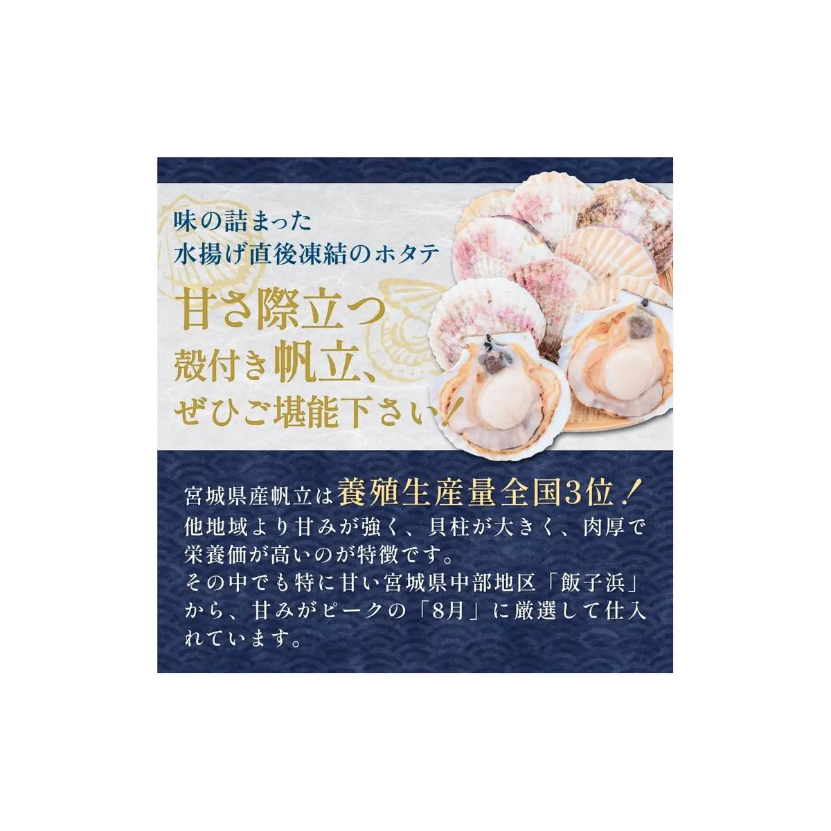 【冷凍・生食用】 殻付き帆立 10枚 帆立 ホタテ ほたて 殻付き 生食 生食用 肉厚