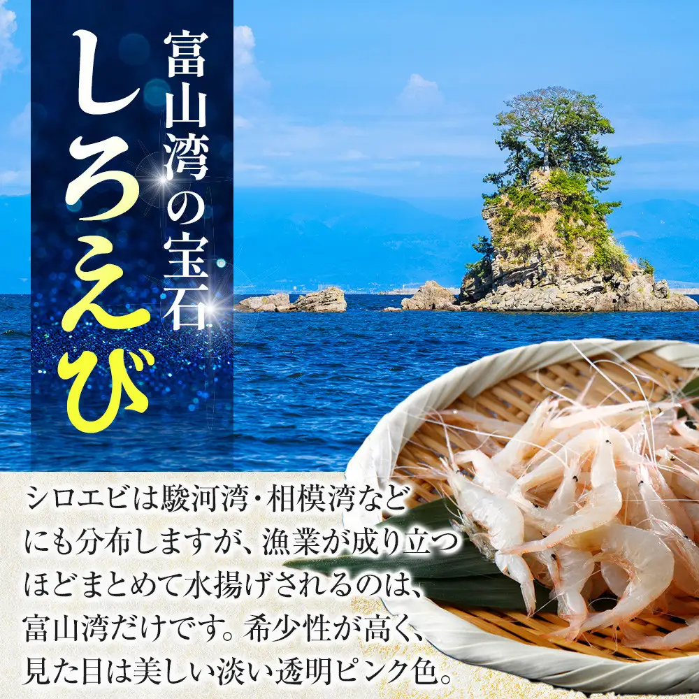 富山湾のシロエビ（殻付き）300g