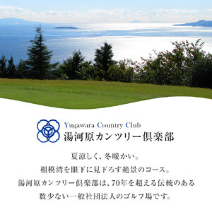 湯河原カンツリー倶楽部ギフトカード 120000円分 | 湯河原町 ゴルフ場 スポーツ 趣味 レジャー アクティビティ 体験