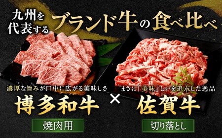 博多和牛 焼肉用 500g ＋ 佐賀牛 切り落とし 400g 計900g（計2パック） 牛 和牛 牛肉 お肉 肉 にく 切落し 赤身 肩肉 バラ肉 冷凍