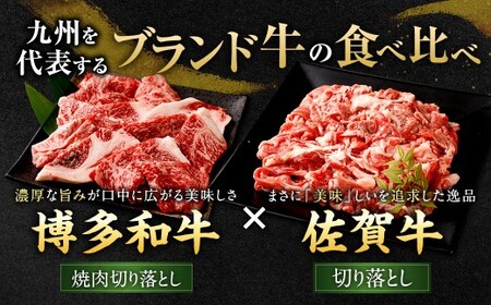 博多和牛 焼肉切り落とし 500g ＋ 佐賀牛 切り落とし 400g 計900g（計2パック） 牛 和牛 牛肉 お肉 肉 にく 切落し 赤身 肩肉 バラ肉 冷凍