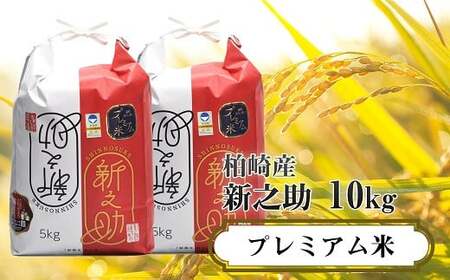 【令和7年産米】甘味の強いプレミアム米 新潟県認証特別栽培米 新之助 無洗米 10kg（5kg×2袋）アグリーホンマ[Y0361]