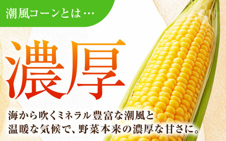 【先行予約】【数量限定100セット】よこすか潮風コーン 10本~12本 計約5kg 【井上農園】とうもろこし トウモロコシ[AKDJ002]