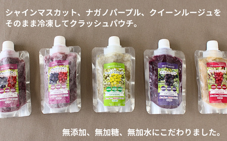 TK25 ぶどう 冷凍スペシャルパウチ リアル100％ Lサイズ（95g） 5個 // 長野県 南信州 冷凍フルーツ 冷凍パウチ パウチ シャーベット スムージー 無添加 無加糖 無加水 葡萄 シャインマスカット ナガノパープル クインルージュ