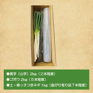 【2026年11月下旬～2027年１月下旬配送】【数量限定】水戸の３年長芋（山芋）＆愛情ネギ＆元気ゴボウの３種類セット【茨城県産 野菜 やさい 野菜セット 水戸野菜 ごぼう 牛蒡 ながいも やまいも ねぎ 葱 国産 新鮮 産地直送 農家直送 生産者】（HD-2）