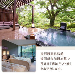 湯河原温泉ふるさと納税「宿泊ギフト券」 60,000円分 | 湯河原町 贅沢 リフレッシュ 旅行 神奈川 自然