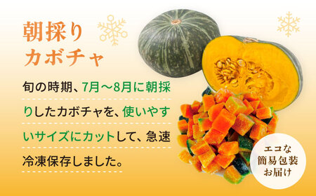 カボチャ 1kg 冷凍 カット済み 旬の時期に急速冷凍 【福岡県糸島産】 糸島市 / オーガニックナガミツファーム 野菜 南瓜 かぼちゃ[AGE051]