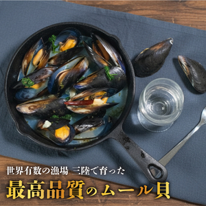 三陸産 活ムール貝 3kg ムール貝