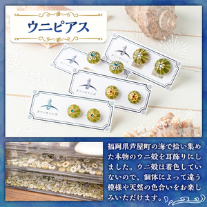 海アクセサリー ウニイヤリング (1セット) アクセサリー イヤリング ハンドメイド 手作り 耳飾り ギフト プレゼント 贈り物 雲丹 うに ウニ殻 1点もの オリジナル 数量限定 【タツノオトシゴ】as50-003