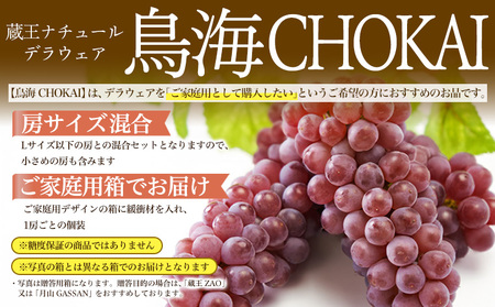 【鳥海 CHOKAI】蔵王ナチュールデラウェア 山形のデラウエア TAKUMI ORCHARD 99% ご家庭 M以上房サイズ混合 約3kg 山形 山形県 山形市 フルーツ 果物 くだもの 送料無料 ぶどう 葡萄 ブドウ デラウェア 減農薬【令和8年産先行予約】FS25-115