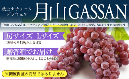 【月山 GASSAN】蔵王ナチュールデラウェア 山形のデラウエア TAKUMI ORCHARD 99% 贈答 L以上 約2kg 山形 山形県 山形市 フルーツ 果物 くだもの 送料無料 ぶどう 葡萄 ブドウ デラウェア 減農薬【令和8年産先行予約】FS25-118