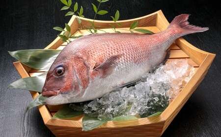 鯛のあら炊き 600g×3袋 計1.8kg 鯛 あら炊き あら煮 煮付け 煮付 煮物 和食 魚 簡単 冷凍 福岡県 北九州市