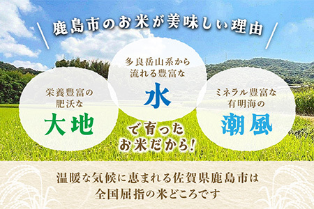 【新米】 令和7年産 佐賀県産 さがびより ５kg 白米【16年連続 特A評価】C-174